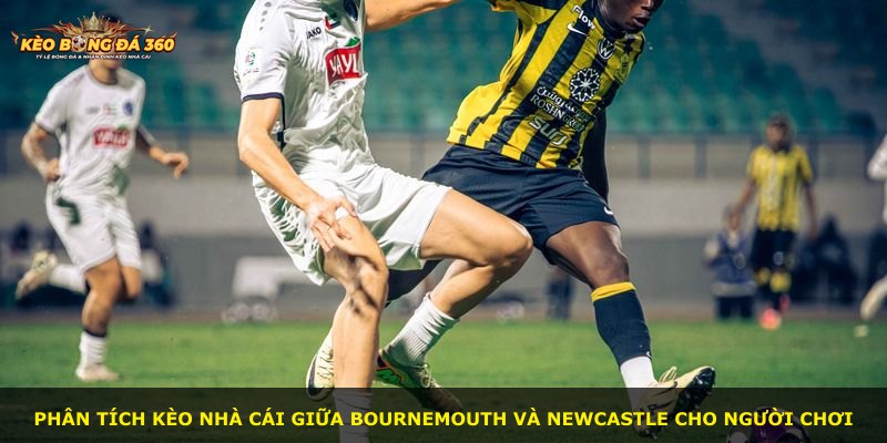 Phân tích kèo nhà cái giữa Bournemouth và Newcastle cho người chơi