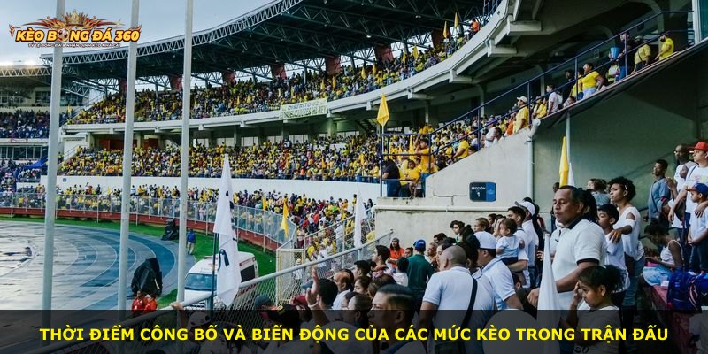 Thời điểm công bố và biến động của các mức kèo trong trận đấu