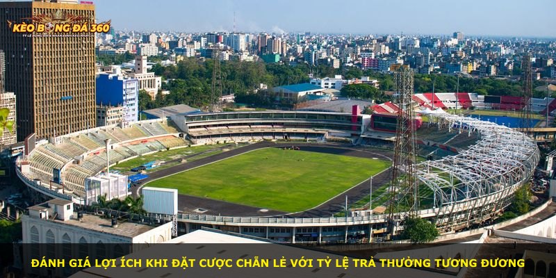 Đánh giá lợi ích khi đặt cược chẵn lẻ với tỷ lệ trả thưởng tương đương