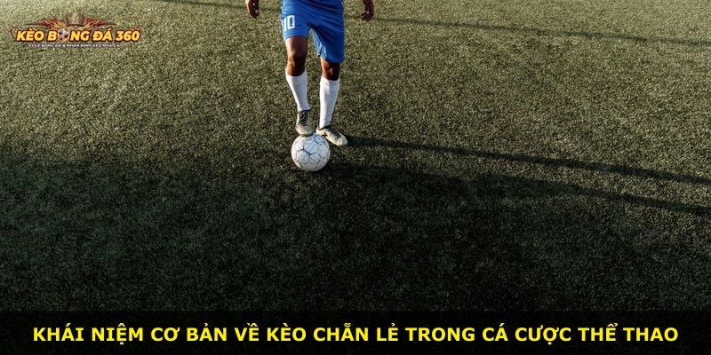 Khái niệm cơ bản về kèo chẵn lẻ trong cá cược thể thao