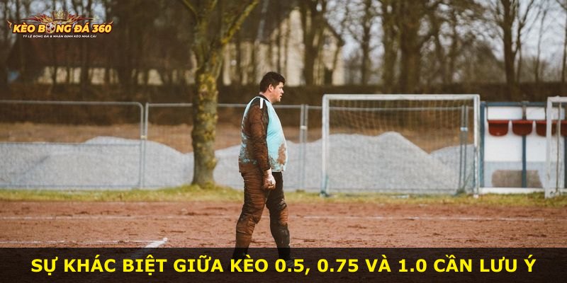 Sự khác biệt giữa kèo 0.5, 0.75 và 1.0 cần lưu ý