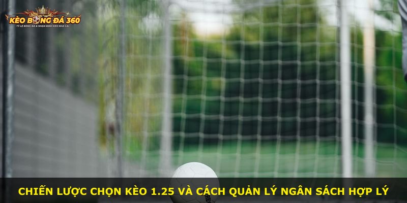 Chiến lược chọn kèo 1.25 và cách quản lý ngân sách hợp lý