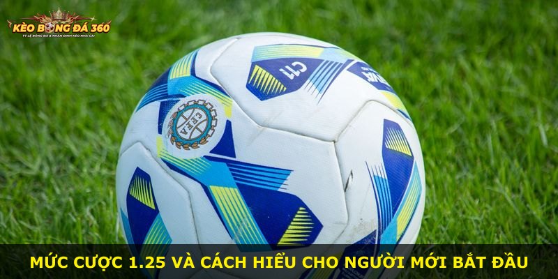 Mức cược 1.25 và cách hiểu cho người mới bắt đầu