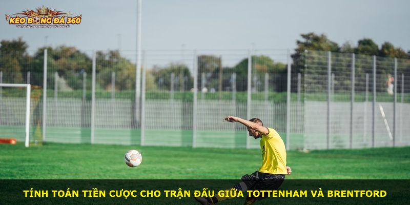 Tính toán tiền cược cho trận đấu giữa Tottenham và Brentford