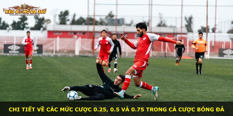 Chi tiết về các mức cược 0.25, 0.5 và 0.75 trong cá cược bóng đá