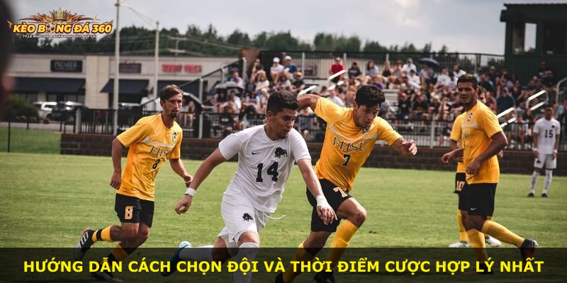 Hướng dẫn cách chọn đội và thời điểm cược hợp lý nhất