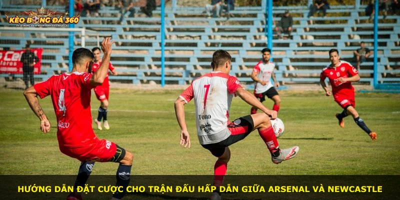 Hướng dẫn đặt cược cho trận đấu hấp dẫn giữa Arsenal và Newcastle