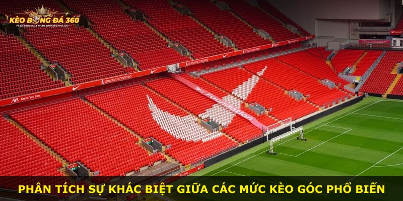 Phân tích sự khác biệt giữa các mức kèo góc phổ biến
