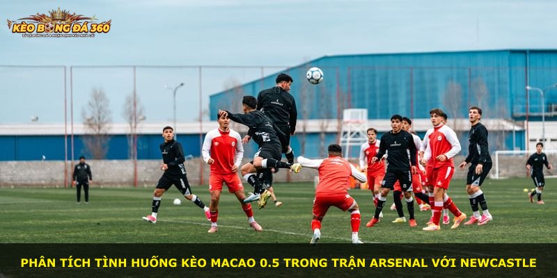 Phân tích tình huống kèo Macao 0.5 trong trận Arsenal với Newcastle