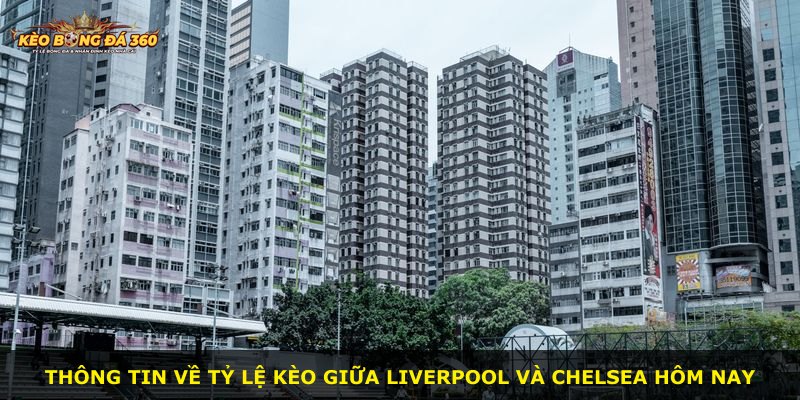 Thông tin về tỷ lệ kèo giữa Liverpool và Chelsea hôm nay