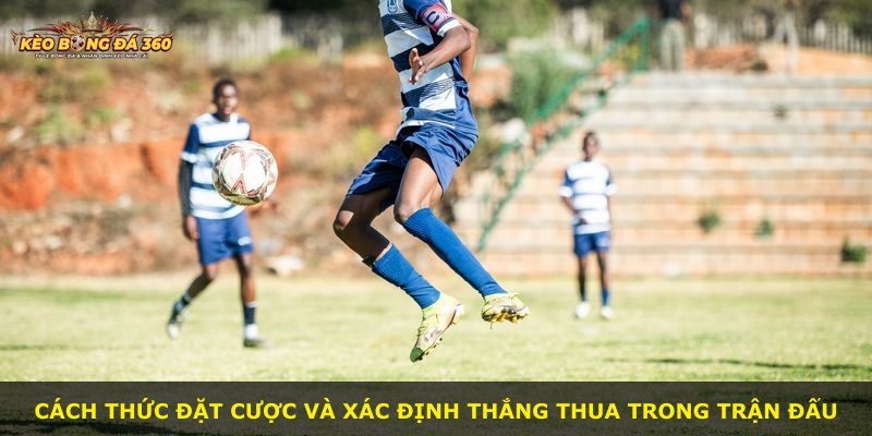 Cách thức đặt cược và xác định thắng thua trong trận đấu