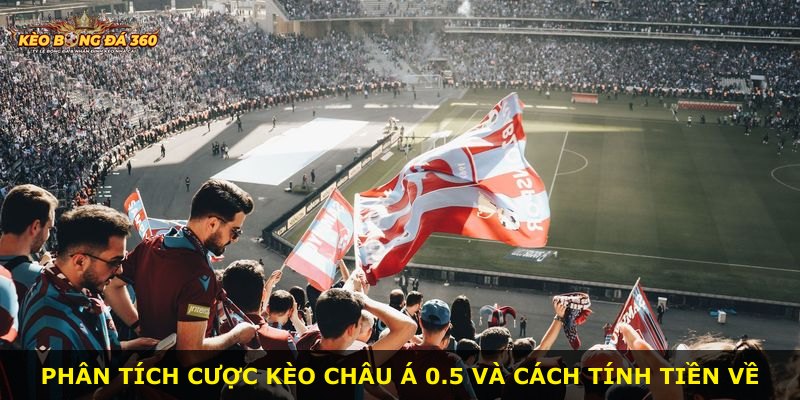 Phân tích cược kèo châu Á 0.5 và cách tính tiền về