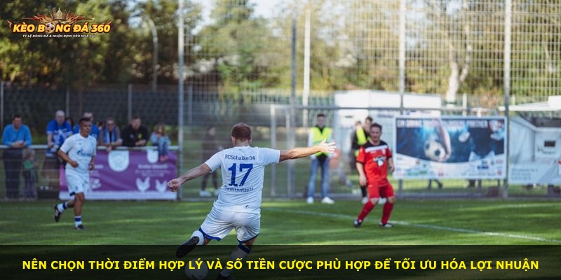 Nên chọn thời điểm hợp lý và số tiền cược phù hợp để tối ưu hóa lợi nhuận