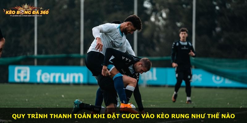 Quy trình thanh toán khi đặt cược vào kèo rung như thế nào