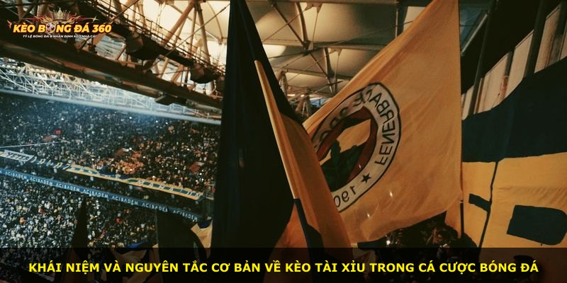 Khái niệm và nguyên tắc cơ bản về kèo Tài Xỉu trong cá cược bóng đá