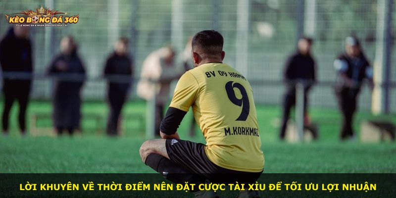Lời khuyên về thời điểm nên đặt cược Tài Xỉu để tối ưu lợi nhuận