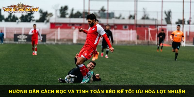 Hướng dẫn cách đọc và tính toán kèo để tối ưu hóa lợi nhuận