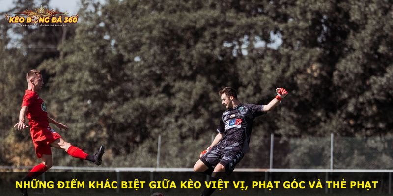Những điểm khác biệt giữa kèo việt vị, phạt góc và thẻ phạt