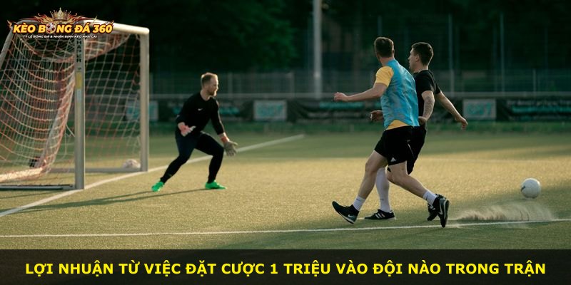 Lợi nhuận từ việc đặt cược 1 triệu vào đội nào trong trận