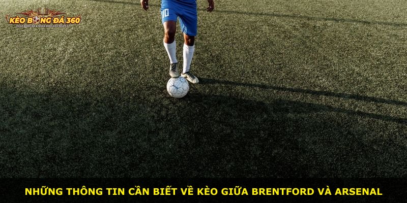 Những thông tin cần biết về kèo giữa Brentford và Arsenal