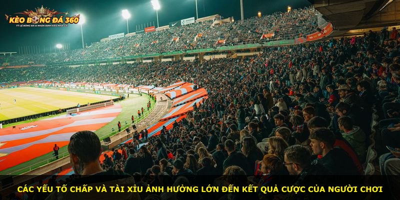 Các yếu tố chấp và tài xỉu ảnh hưởng lớn đến kết quả cược của người chơi