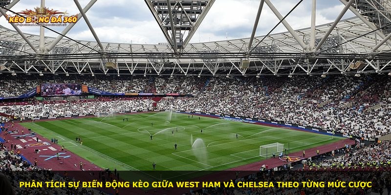Phân tích sự biến động kèo giữa West Ham và Chelsea theo từng mức cược