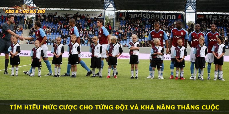 Tìm hiểu mức cược cho từng đội và khả năng thắng cuộc