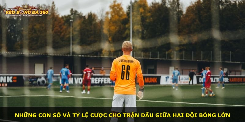 Những con số và tỷ lệ cược cho trận đấu giữa hai đội bóng lớn