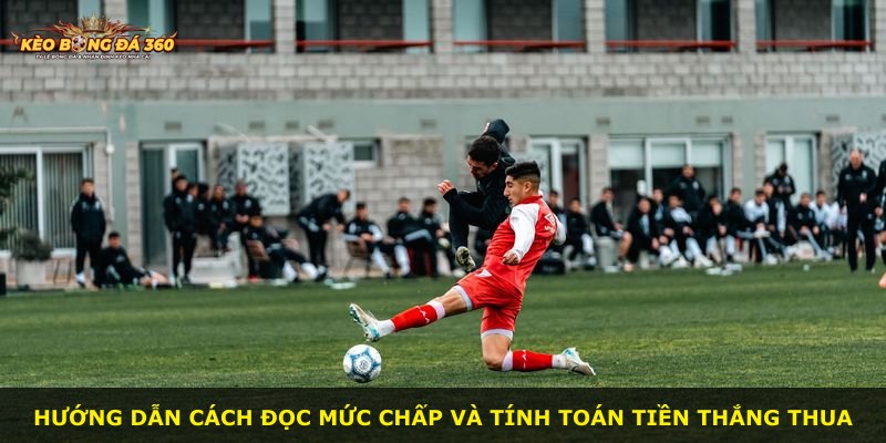 Hướng dẫn cách đọc mức chấp và tính toán tiền thắng thua