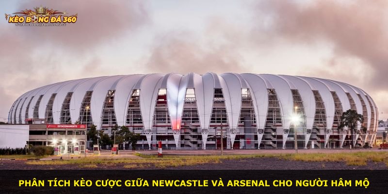Phân tích kèo cược giữa Newcastle và Arsenal cho người hâm mộ