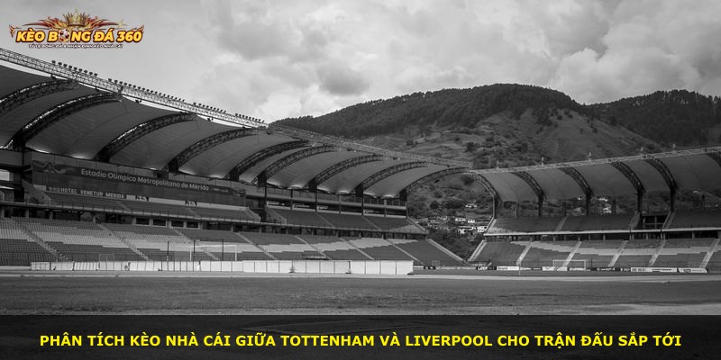 Phân tích kèo nhà cái giữa Tottenham và Liverpool cho trận đấu sắp tới
