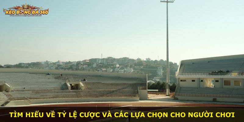 Tìm hiểu về tỷ lệ cược và các lựa chọn cho người chơi