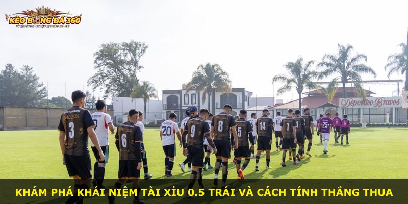 Khám phá khái niệm Tài Xỉu 0.5 Trái và cách tính thắng thua