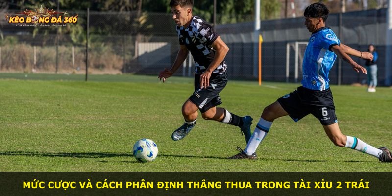 Mức cược và cách phân định thắng thua trong Tài Xỉu 2 Trái