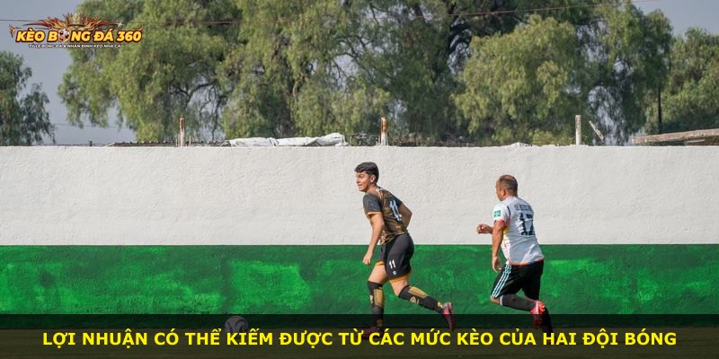 Lợi nhuận có thể kiếm được từ các mức kèo của hai đội bóng