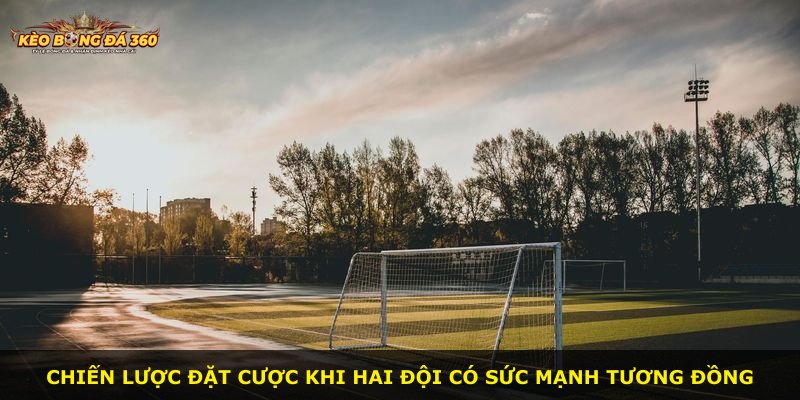 Chiến lược đặt cược khi hai đội có sức mạnh tương đồng