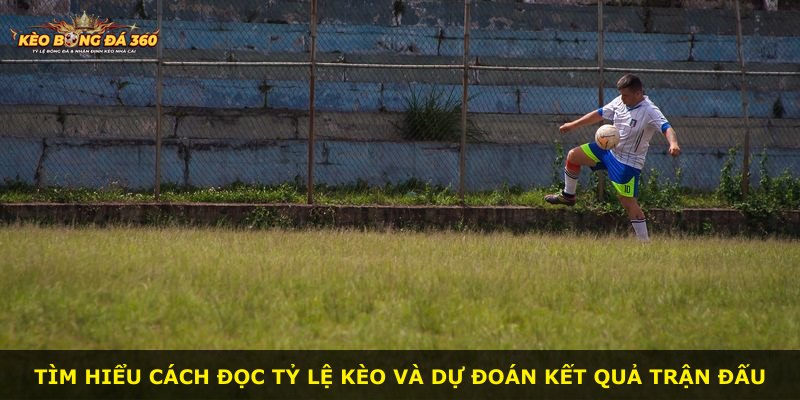 Tìm hiểu cách đọc tỷ lệ kèo và dự đoán kết quả trận đấu