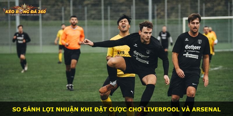 So sánh lợi nhuận khi đặt cược cho Liverpool và Arsenal