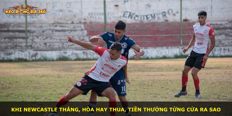 Khi Newcastle thắng, hòa hay thua, tiền thưởng từng cửa ra sao